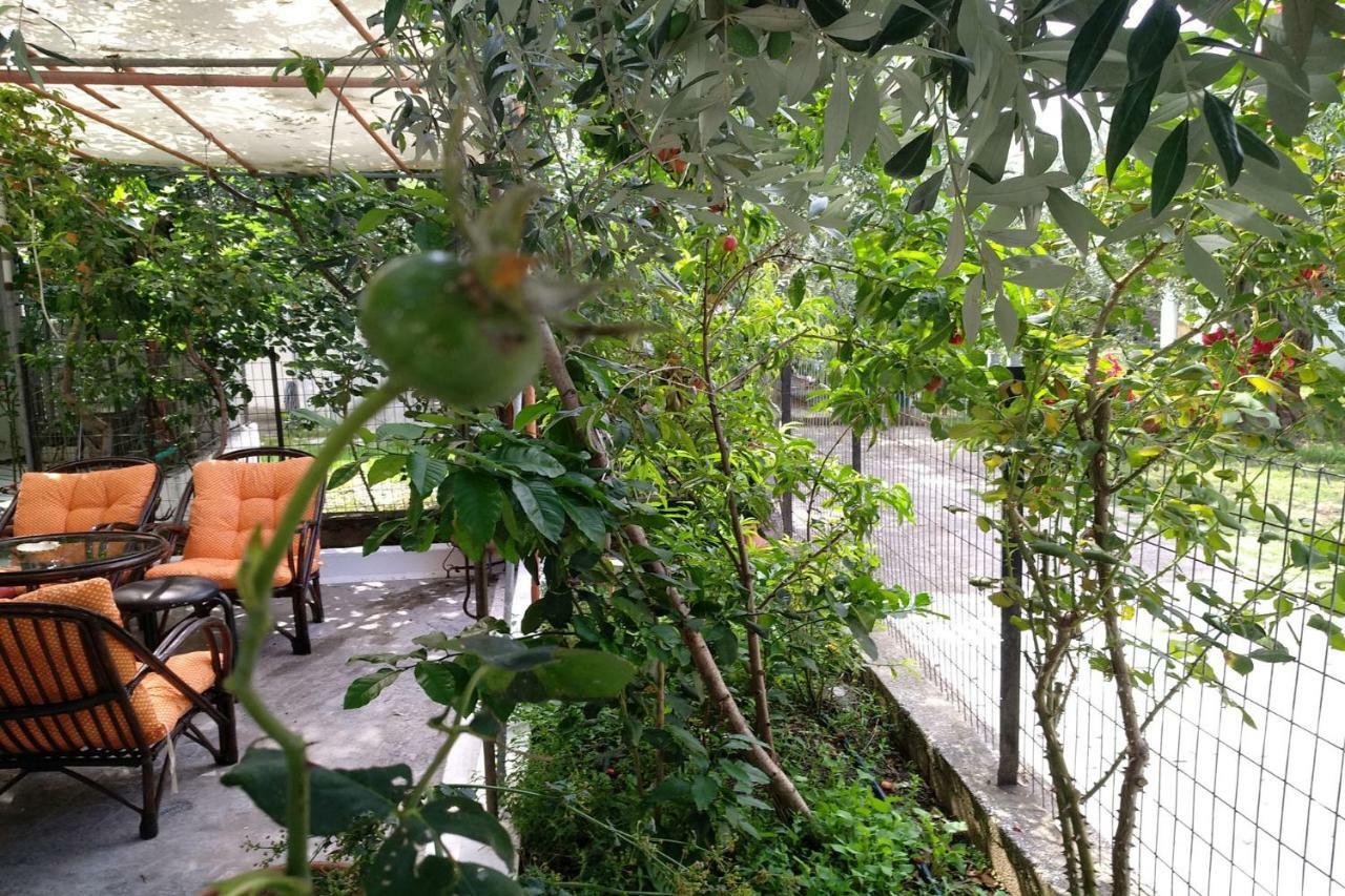 הוילה Skála Kallirákhis Our Parent'S House. Family House For Rent מראה חיצוני תמונה