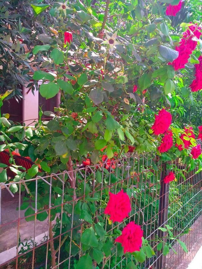 הוילה Skála Kallirákhis Our Parent'S House. Family House For Rent מראה חיצוני תמונה